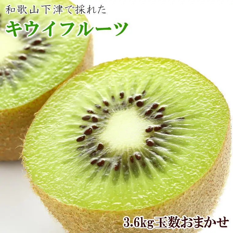 和歌山の下津で採れたキウイフルーツ約3.6kg（玉数おまかせ・秀品）※2027年1月中旬～2027年3月上旬頃に発送【tec502B】