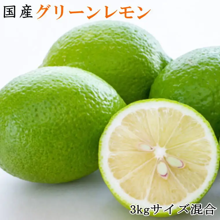 【産直】和歌山産グリーンレモン約3kg（サイズ混合）※2026年10月中旬～2026年11月上旬頃より順次発送【tec506A】