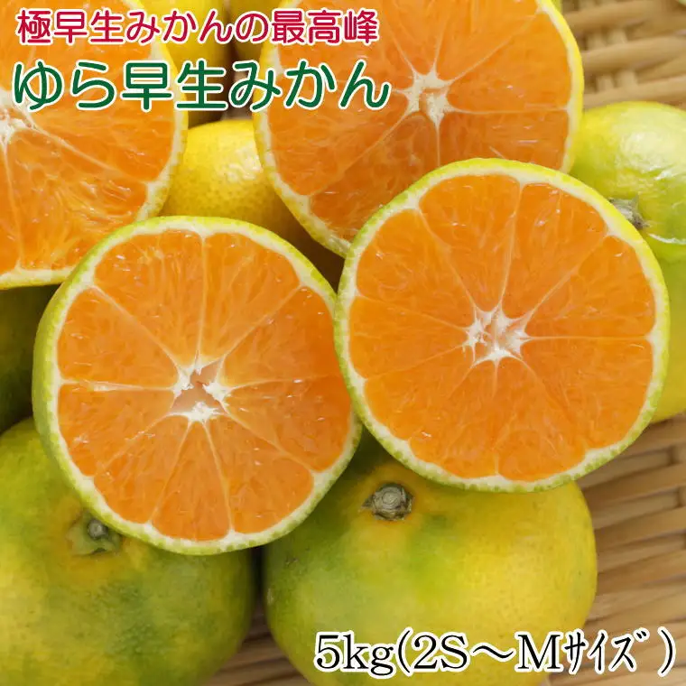 【極早生みかんの逸品】有田産ゆら早生みかん 約5kg※2026年10月中旬～2026年11月中旬頃より順次発送【tec801A】