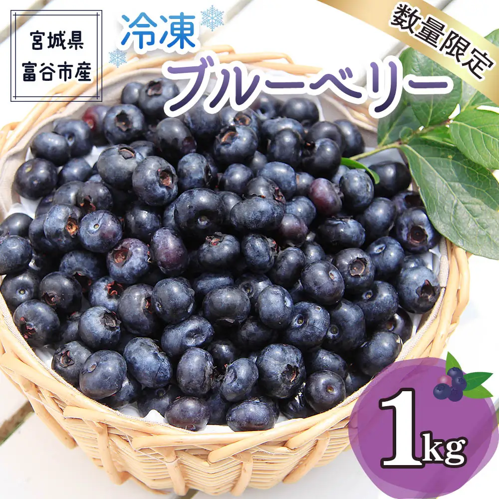 2026年富谷市産 冷凍ブルーベリー1kg [0377]