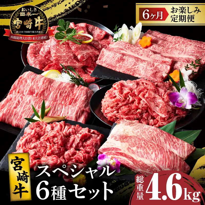 6か月お楽しみ定期便『宮崎牛スペシャル6種セット』総重量4.6kg 肉 牛 牛肉 焼肉 国産_T009-0026