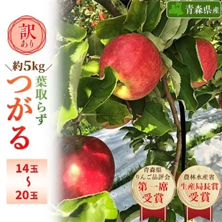 「葉とらずつがる」約5kg・訳あり家庭用りんご_果物・フルーツ りんご  リンゴ 林檎_【配送不可地域：離島・沖縄県】【1106866】