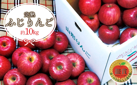 【令和8年産先行予約】 雪んこ 完熟ふじりんご 約10kg バラ詰め 《令和9年1月中旬～発送》 【全国りんご選手権 銀賞】 『船中農園』 林檎 リンゴ 果物 フルーツ デザート 山形県 南陽市 [696]