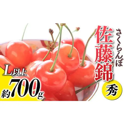 【令和9年産先行予約】 さくらんぼ 「佐藤錦」 約700g (秀 L以上) バラ詰め 《令和9年6月上旬～発送》 『生産者おまかせ』 サクランボ 果物 フルーツ 産地直送 生産農家直送 山形県 南陽市 [884]