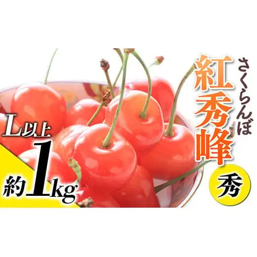 【令和9年産先行予約】 さくらんぼ 「紅秀峰」 約1kg (秀 L以上) バラ詰め 《令和9年6月下旬～発送》 『生産者おまかせ』 サクランボ 果物 フルーツ 産地直送 生産農家直送 山形県 南陽市 [887]