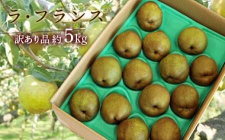【令和8年産先行予約】 〈訳あり品 家庭用〉 ラ・フランス 約5kg (10～18玉 中～大玉) 《令和8年11月上旬～発送》 『旬の果実 佐藤市右衛門農園』 ラフランス 西洋梨 洋なし 訳あり 果物 フルーツ デザート 山形県 南陽市 [1047]