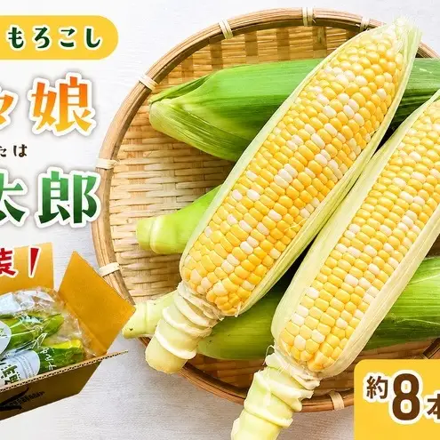 とうもろこし 訳あり 先行予約 甘々娘 甘太郎 約8〜14本 とうもろこし