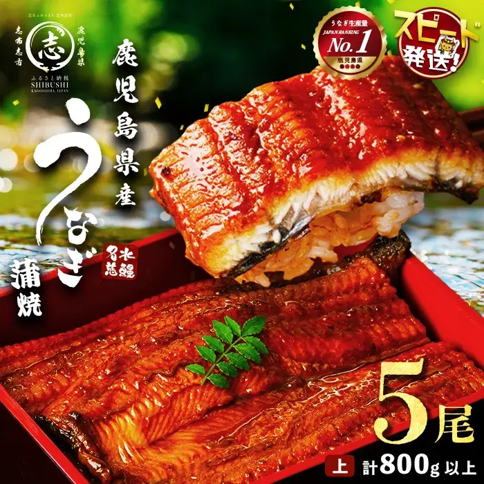 うなぎ 国産 蒲焼 名水慈鰻 5尾（800g) うなぎセット b8-043