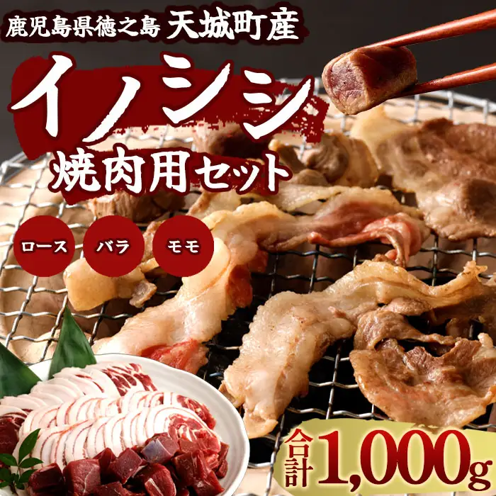 鹿児島 徳之島 天城町 イノシシ 焼肉用 セット1kg ジビエ ロース サイコロ バラ AI-16-N