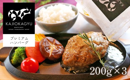 梶岡牛 プレミアムハンバーグ