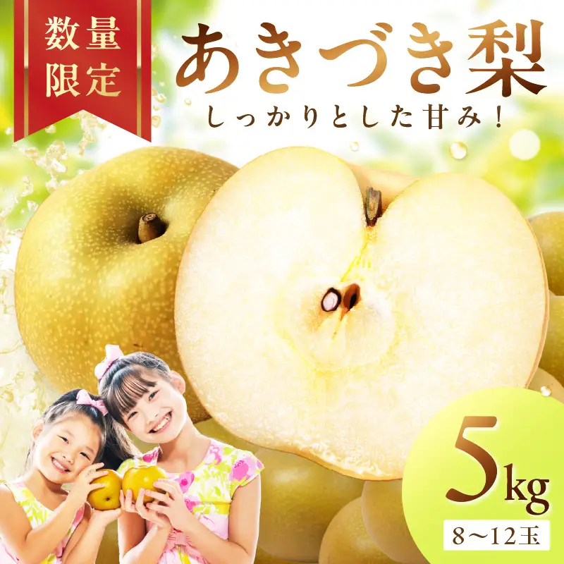 梨／あきづき【先行予約】あきづき梨 5kg（2026年9月中旬～発送）