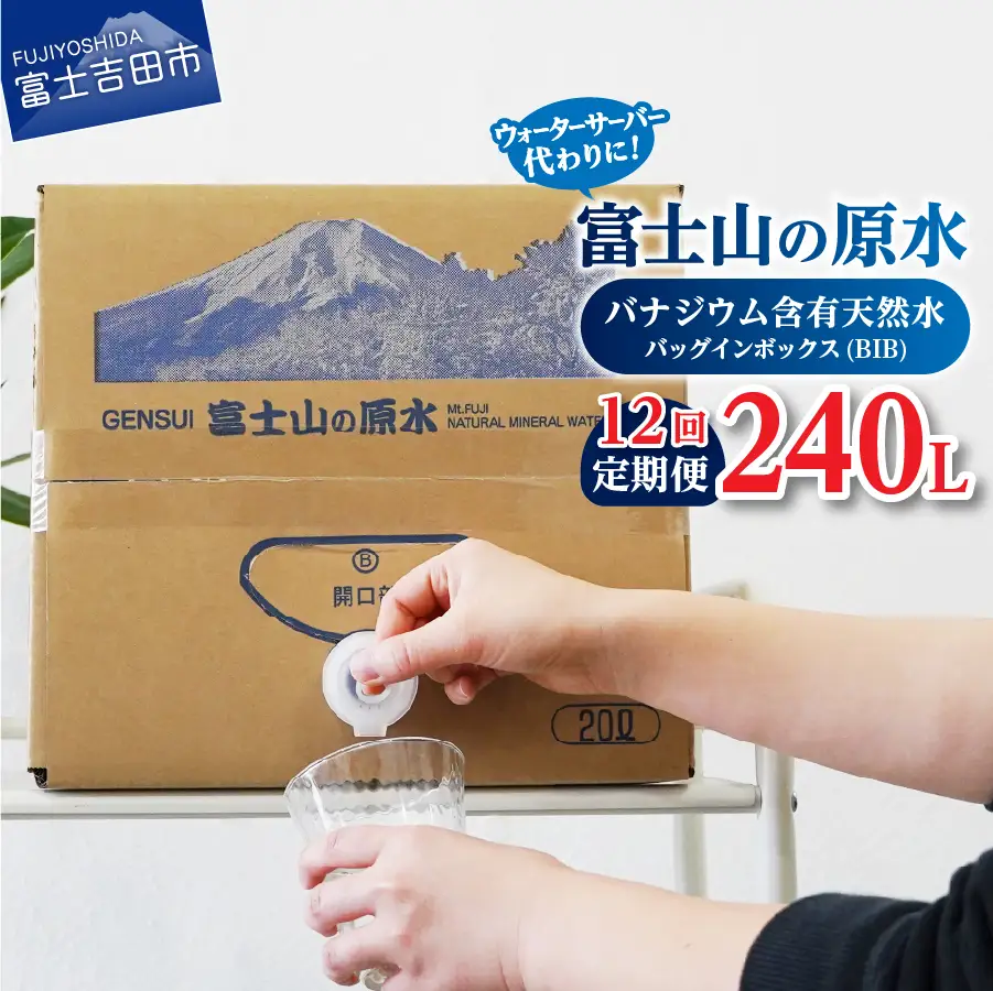 【12か月お届け】バナジウム天然水定期便 富士山の原水 20L BIB ミネラルウォーター バナジウム 備蓄 保存 ストック 防災 防災グッズ 