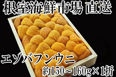 エゾバフンウニ(黄系)約150～160g×1折 C-14026