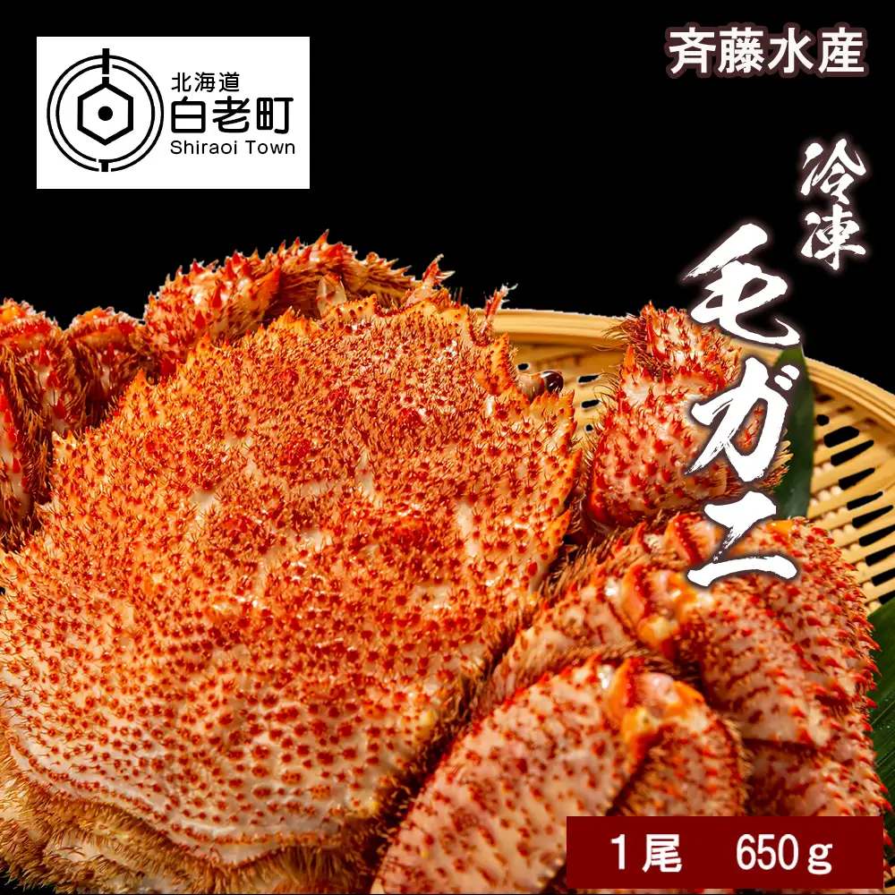大サイズ！冷凍毛がに約650g×1尾【斉藤水産】 AM143