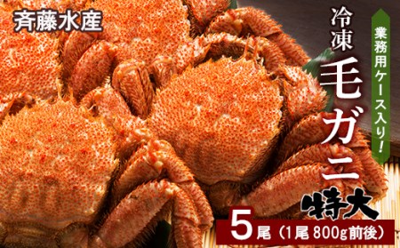 業務用ケース入り！冷凍毛がに 特大サイズ 5尾（1尾800g前後） AM149