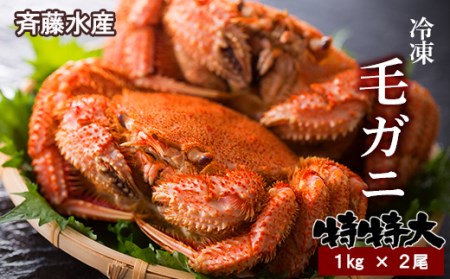 特特大サイズ！冷凍毛がに約1kg×2尾【斉藤水産】 AM151
