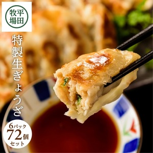 SA0779　平田牧場　特製生ぎょうざ 72個セット(12個入×6パック)