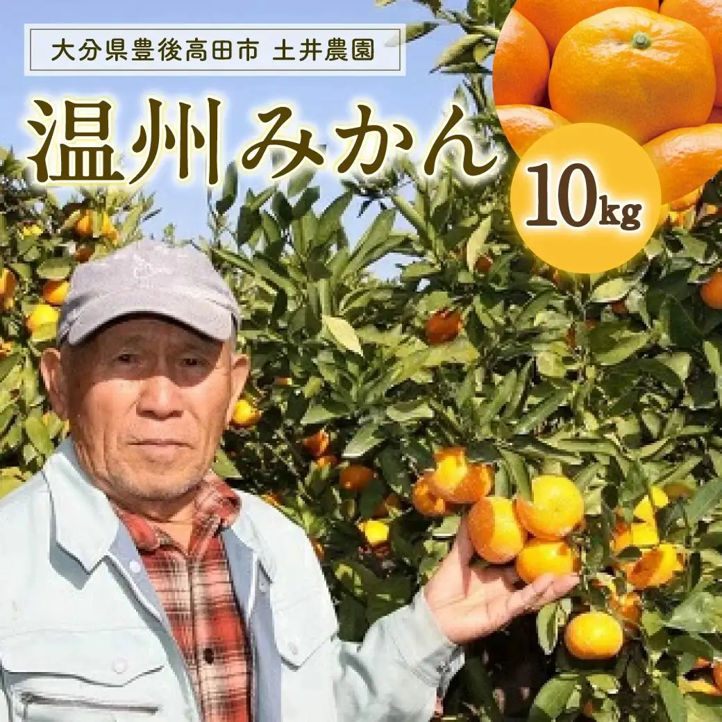 みかん【先行予約】土井さんのみかん(10kg)