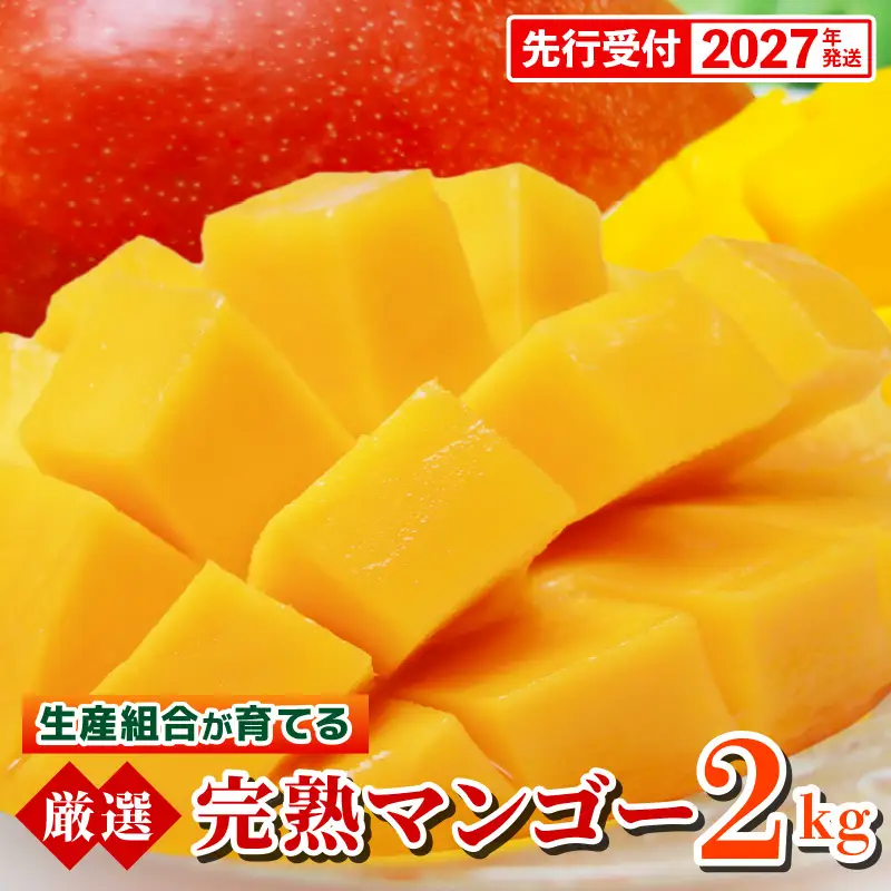 【先行受付】【2027年発送】生産組合が育てる厳選・完熟マンゴー約2kg - 先行予約 沖縄県産 産地直送 南国フルーツ アップルマンゴー 旬の味覚 季節の果物 贈り物 沖縄県 八重瀬町