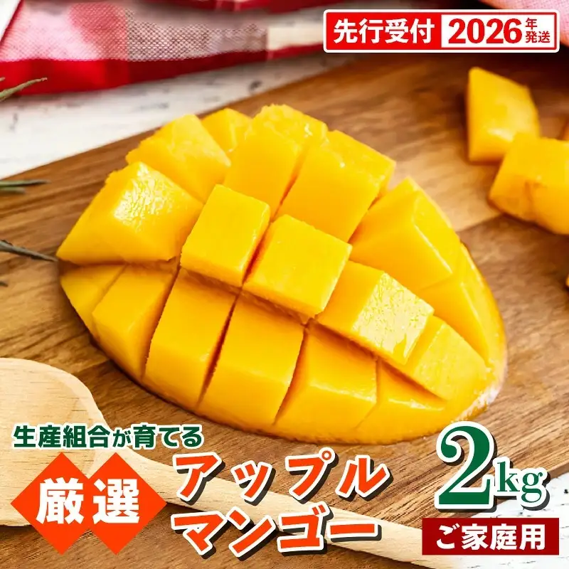 【先行受付】【2026年発送】生産組合が育てるアップルマンゴー約2kg（家庭用）- 先行予約 沖縄県産 産地直送 南国フルーツ 旬の味覚 季節の果物 ご自宅用 沖縄マンゴー 沖縄県 八重瀬町