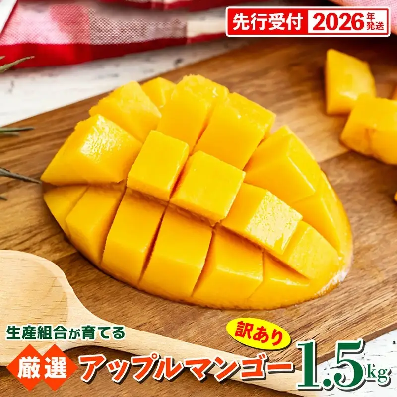 【先行受付】【2026年発送】生産組合が育てるアップルマンゴー 訳あり品 約1.5kg - 先行予約 沖縄県産 産地直送 南国フルーツ 旬の味覚 季節の果物 ご自宅用 家庭用 沖縄県 八重瀬町