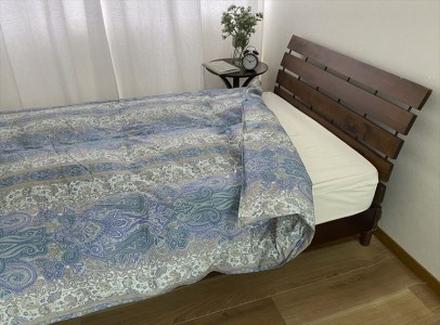 羽毛合掛け布団 フランス産WDD93% シングル 0.7kg入り 1枚 N－6492－7SBL[1206]