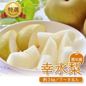 SA3033　酒田産【特選】幸水梨　約3kg(7～9玉入)