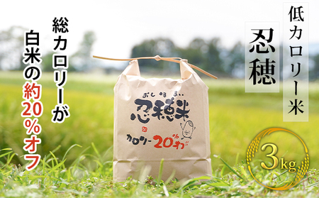 低カロリー米　忍穂（おしほ）3kg お米 