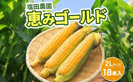 北海道産 とうもろこし 恵味 ゴールド 2L 18本 朝採り とうもろこし