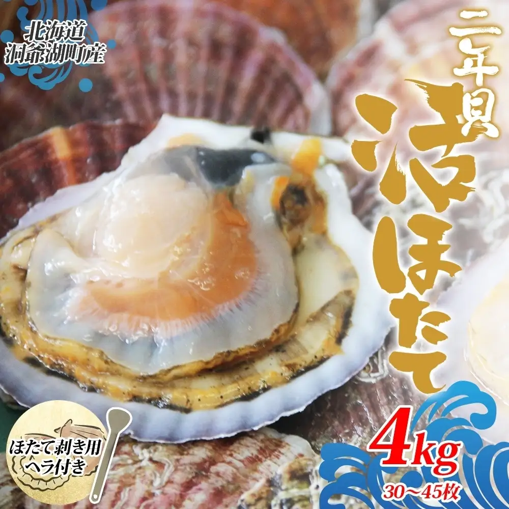 北海道産 活ほたて 2年貝 約4kg 30枚～45枚 2027年1月中旬以降水揚げ次第出荷 ほたて 帆立 ホタテ 生 貝 魚貝 魚介 海産 海鮮 貝柱 噴火湾 刺身 送料無料 北海道 洞爺湖町