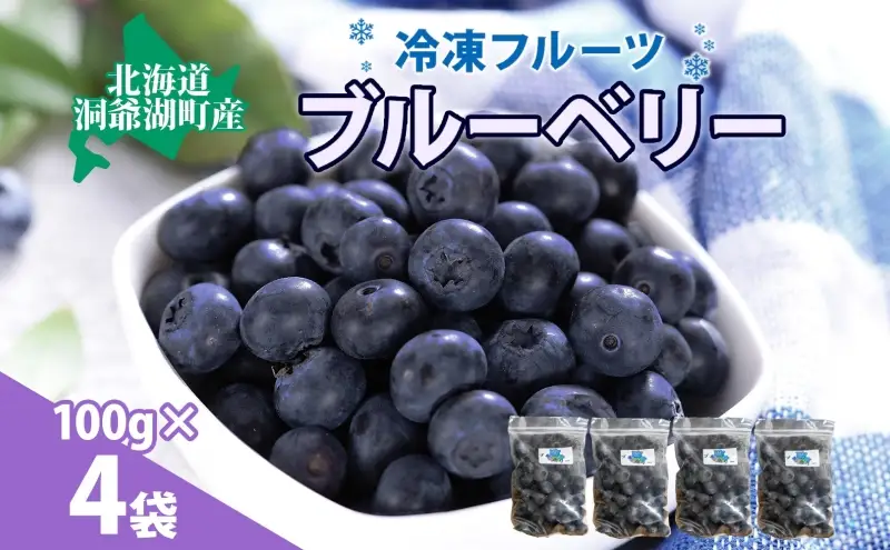 北海道産 ブルーベリー 100g×4袋 9月以降順次出荷 果物 果実 くだもの 冷凍食品 おやつ デザート ジュース ヨーグルト ジャム スイーツ 簡単 便利 一人暮らし 小分け 製菓 送料無料 冷凍 北海道 洞爺湖町