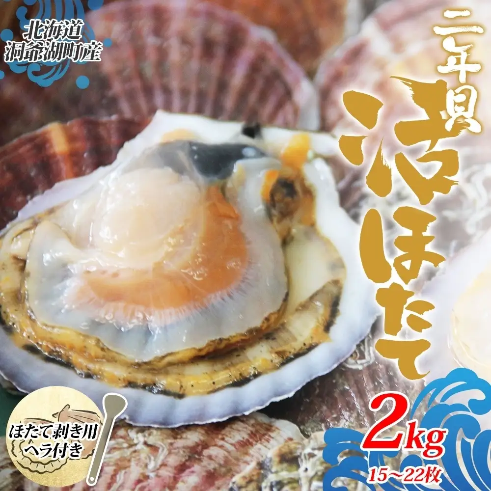 北海道産 活ほたて 2年貝 約2kg 15枚～22枚 2027年1月中旬以降水揚げ次第出荷 ほたて 帆立 ホタテ 生 貝 魚貝 魚介 海産 海鮮 貝柱 噴火湾 刺身 送料無料 北海道 洞爺湖町