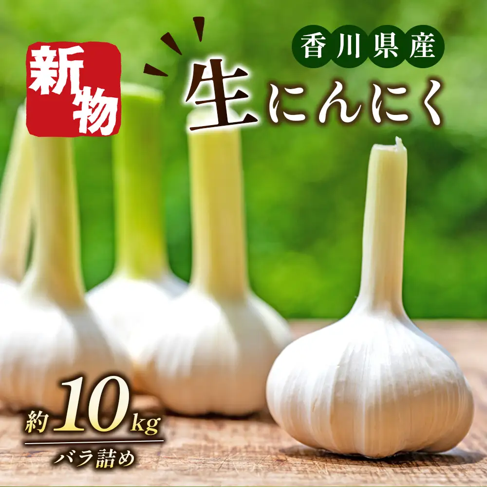にんにく 生 香味野菜 五色青果 にんにく【約10kg バラ詰め】 【46312208】