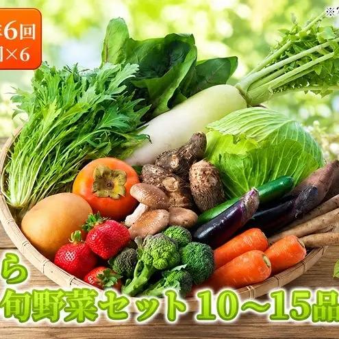 【定期便】 野菜セット 年6回 2か月に1回×6回 おまかせ 10～15種 野菜セット