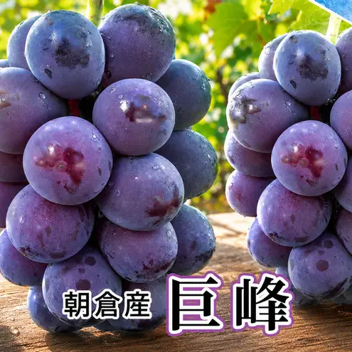 巨峰 約2.5kg 旬菜板屋 配送不可 離島 果物類 ぶどう フルーツ