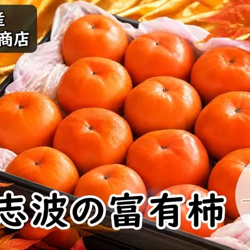 柿 志波の富有柿 Mサイズ×14個入 マルハツ商店 果物類 かき 