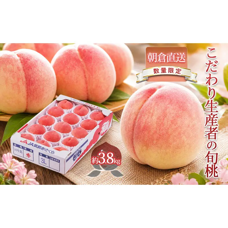 限定 数量 桃 もも モモ 3.8kg 2027年 発送 フルーツ 果物 くだもの デザート 筑前あさくら農協 オンライン決済限定 配送不可 離島