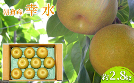 梨 幸水 2.8kg 2026年 発送 なし フルーツ 梨