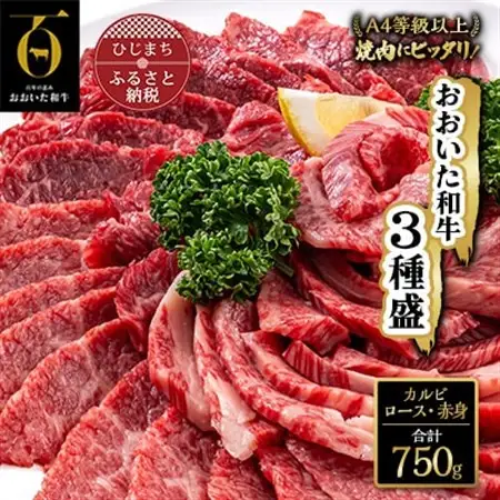 おおいた和牛 焼肉にピッタリ!牛肉の3種盛(カルビ・ロース・赤身)(合計750g)_牛肉  肉  和牛  おおいた和牛  国産牛  霜降り  お肉  食べ比べ  赤身  焼肉_【配送不可地域：離島】【1089360】
