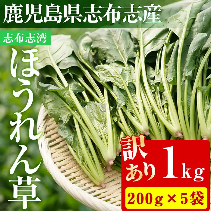 【数量限定・訳あり】志布志湾ほうれん草(200g×5袋 合計1kg) サラダ おひたし お味噌汁 スムージー ほうれん草 ジュース ほうれんそう p7-034