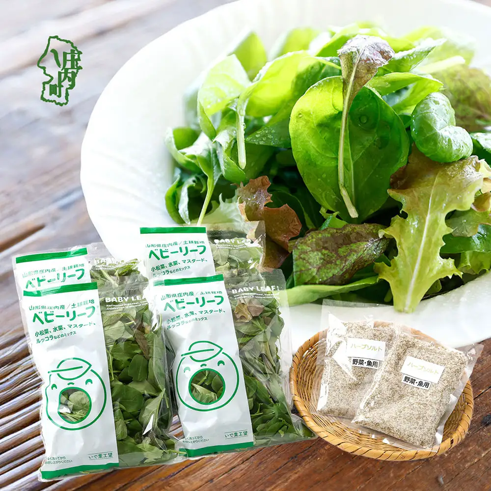庄内産 ベビーリーフミックス 70g×4袋と野菜用ハーブ塩セット 土耕栽培 サラダ スムージー 若葉 野菜 生野菜 新鮮 山形県 冷蔵