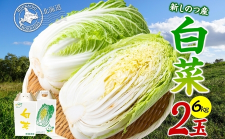 新しのつ産 白菜 2玉 約6kg はくさい ハクサイ 旬 国産 新鮮 北海道産 甘い シャキシャキ 漬物 冬料理 鍋 キムチ サラダ 産地直送 お取り寄せ 北海道 新篠津村 