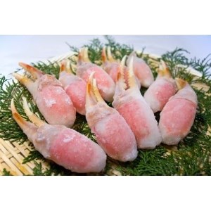 本生ずわい蟹 カニ爪セット 400g | 蟹 [1615]