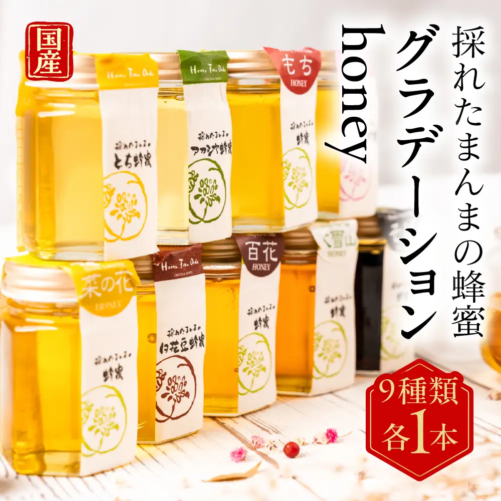 【国産蜂蜜】グラデーションhoney（9種類 各1本）｜蜂蜜