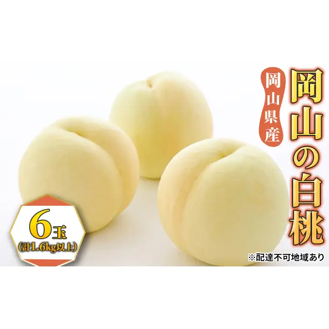 桃 2024年 白桃 6玉