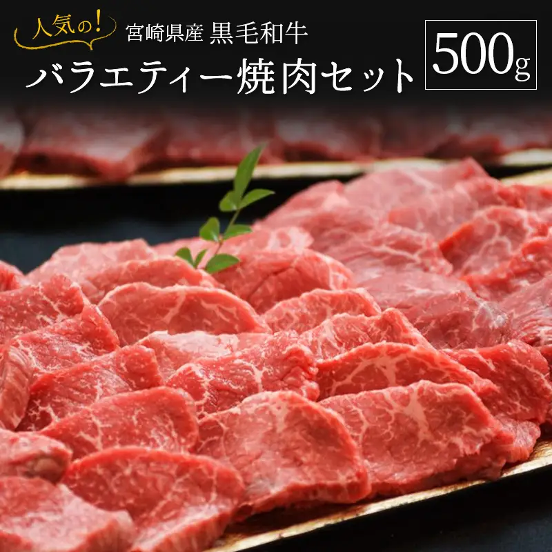 人気の宮崎県産黒毛和牛バラエティー焼肉セット 500g【B492】