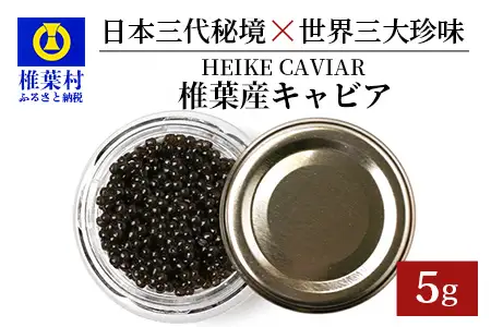 【訳あり】HEIKE CAVIAR 5ｇ 【宮崎県 椎葉村】【世界三大珍味×日本三大秘境】 国産 チョウザメ 訳あり キャビア 5g 魚卵 魚介 珍味 SZ-115