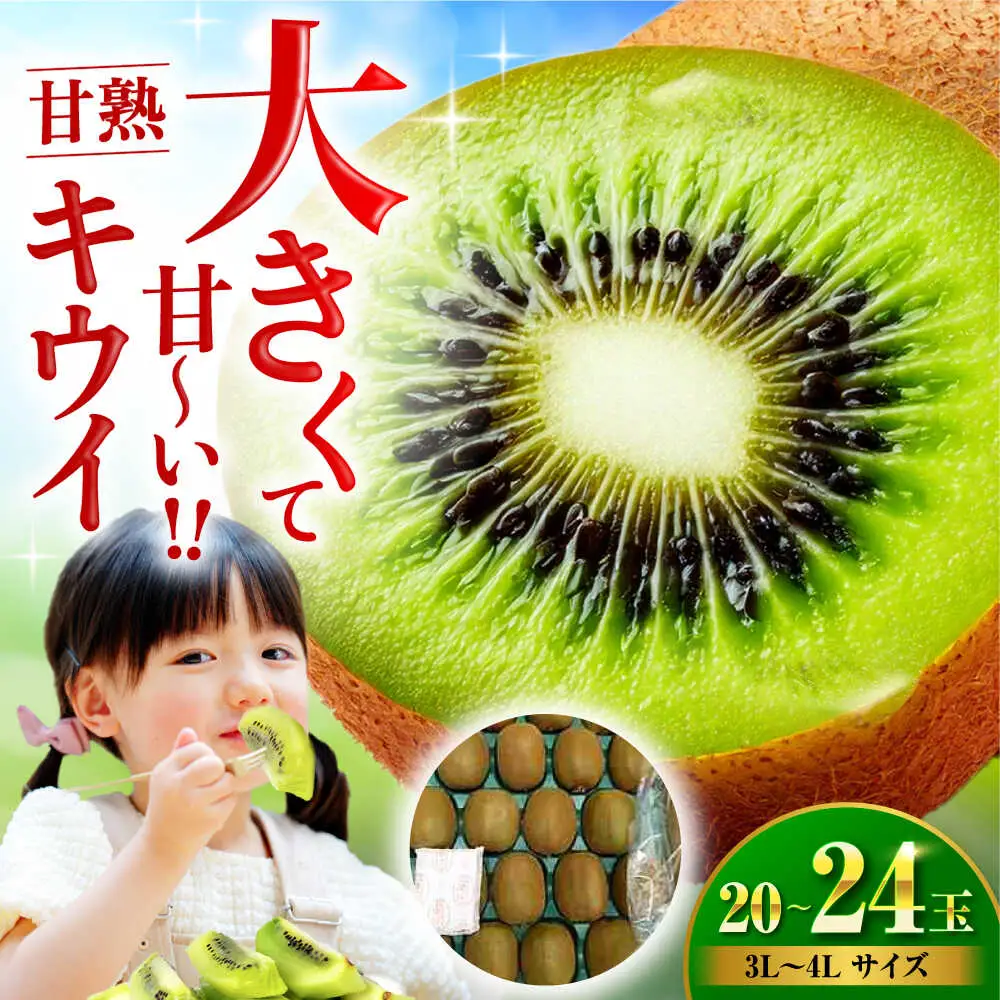 キウイ （3L-4L、20-24玉入）キウイフルーツ[AGBN001] | 愛媛県大洲市
