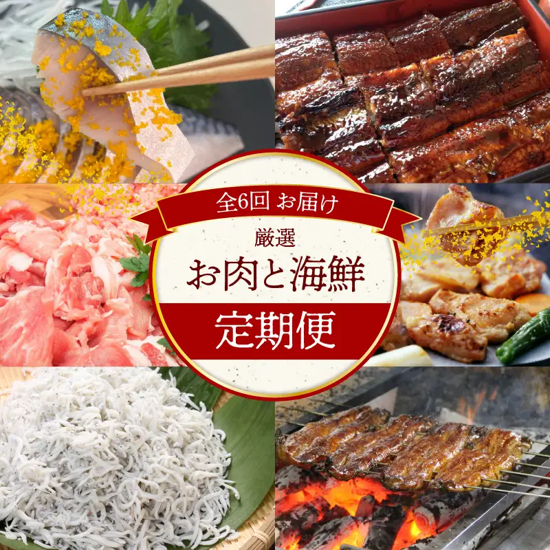 碧南市がチョイスした厳選定期便！ 【お試し】お肉・海鮮　定期便（全6回お届け） H028-085 H028-085