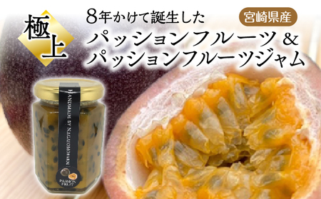 フルーツ パッションフルーツ ジャム フルーツ [《2026年発送》 数量・期間限定 宮崎県産 フルーツジャム セット]